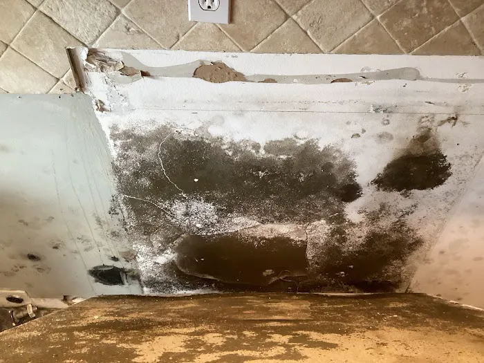 SERVPRO of Plantation Picture 6