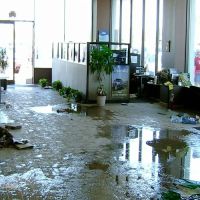 RMI Restoration FL ico