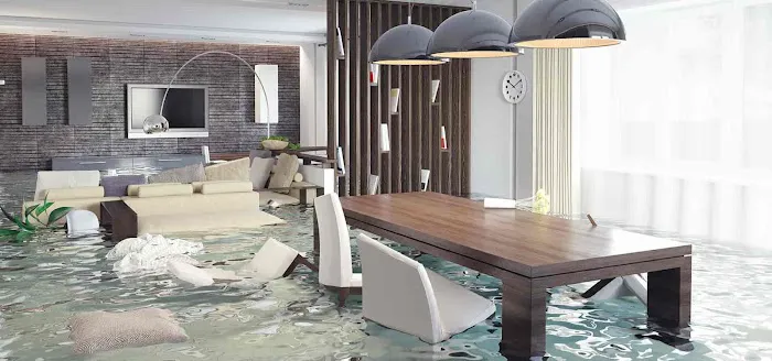 RMI Restoration FL Picture 6