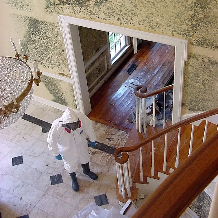 RMI Restoration FL Picture 8