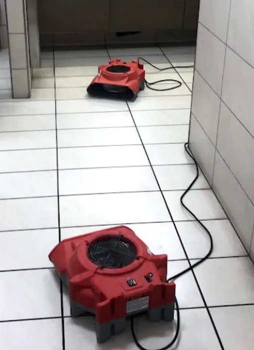 Nexus Water Damage Restoration Fort Lauderdale Picture 10