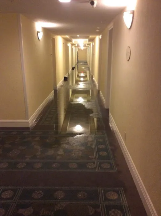 National Water Restoration Picture 10