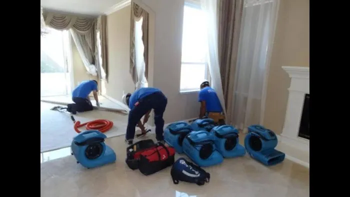 Dry Rely Water Damage Restoration Picture 2