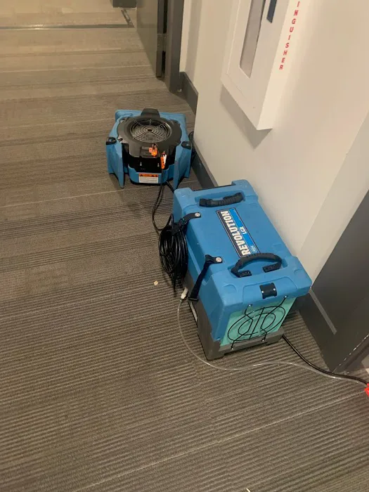 Dry Rely Water Damage Restoration Picture 1