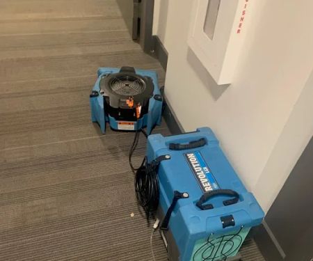 Dry Rely Water Damage Restoration