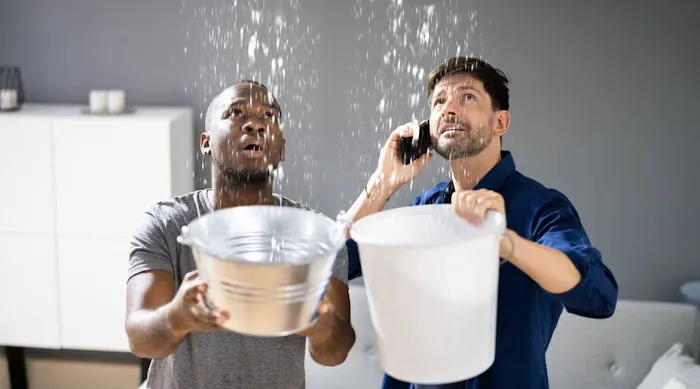 Dry Rely Water Damage Restoration Picture 8