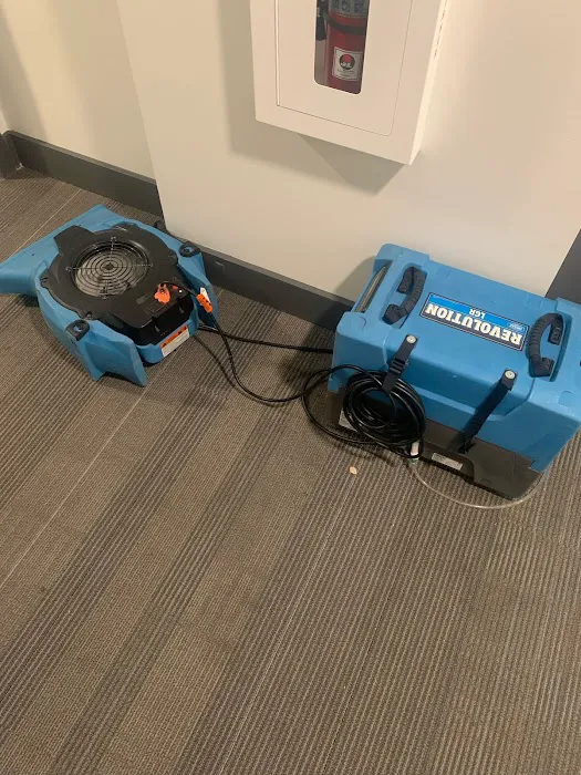 Dry Rely Water Damage Restoration Picture 7