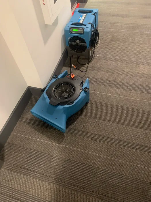 Dry Rely Water Damage Restoration Picture 9