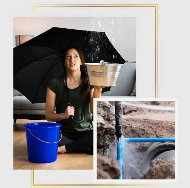 Dry Rely Water Damage Restoration Picture 4