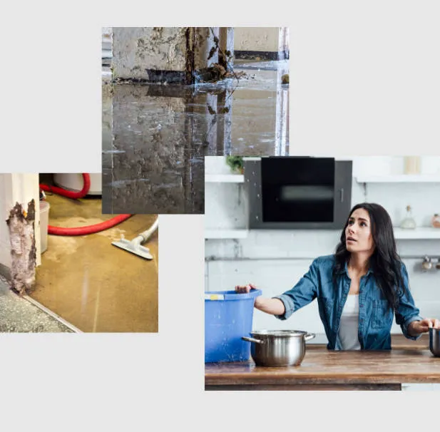 Dry Rely Water Damage Restoration Picture 5