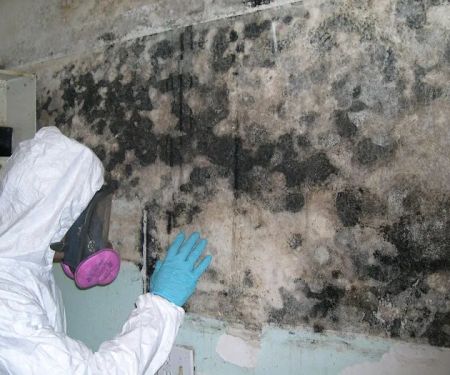 Dry-Pro restoration services,LLC