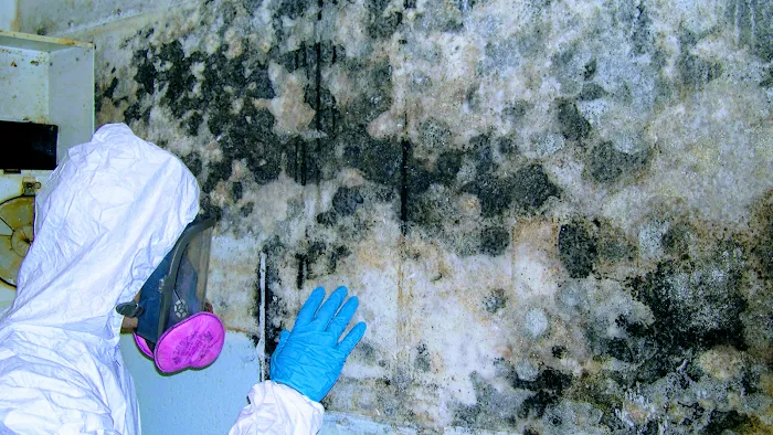 Dry-Pro restoration services,LLC Picture 2