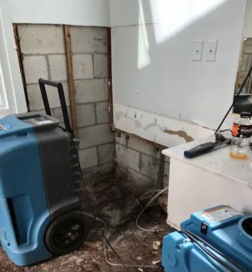 Dry-Pro restoration services,LLC Picture 9