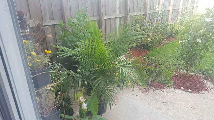 Znd-IO Mold Removal & Mold Remediation Service Florida City, FL Picture 2