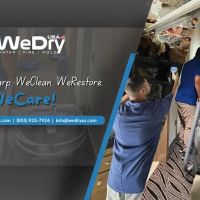 WeDry USA ico