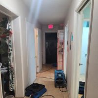 Aqua Express Restoration ico