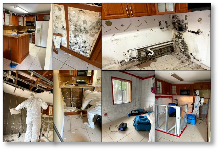 First Call Response Picture 1