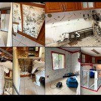 First Call Response ico