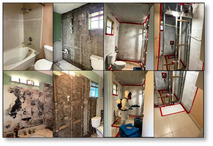 First Call Response Picture 4