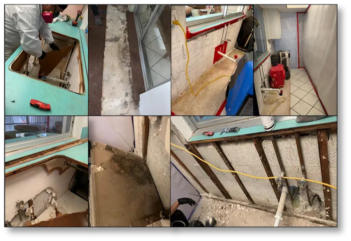 First Call Response Picture 6