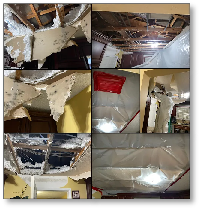 First Call Response Picture 10