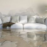 Expert Environmental FL