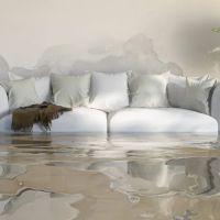 Expert Environmental FL ico