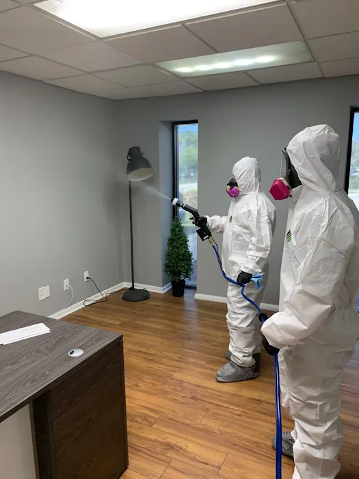 Expert Environmental FL Picture 3