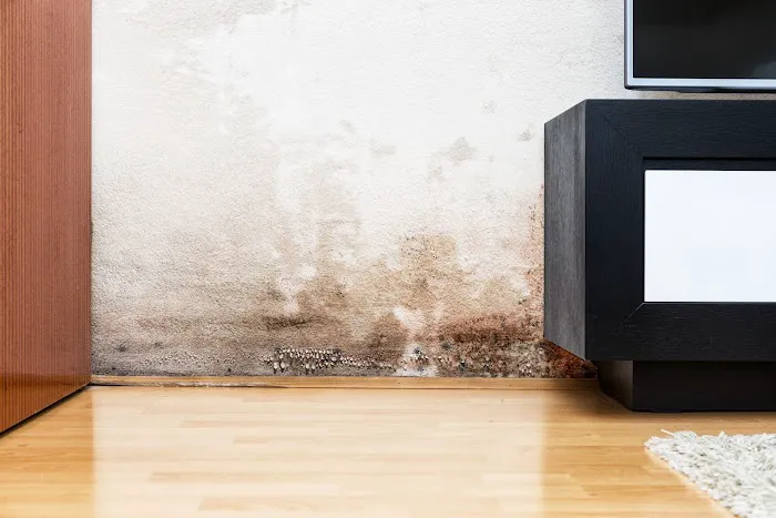 Expert Environmental FL Picture 8