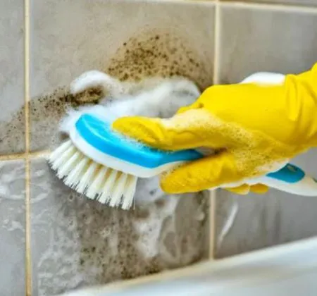 Moisture Mitigation Masters Picture 2