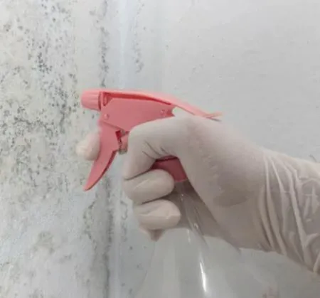 Moisture Mitigation Masters Picture 7