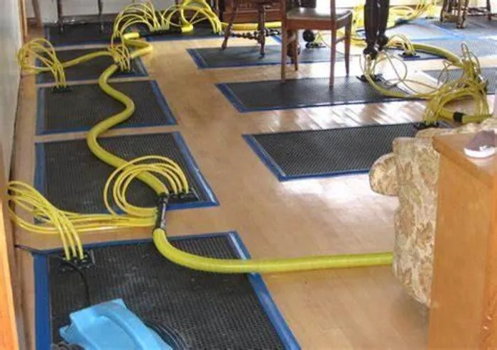 Water Damage Restoration Tamarac Picture 1