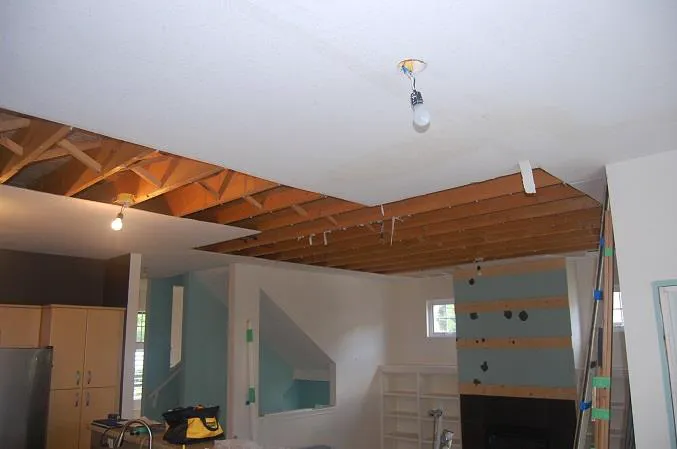 Mold & Water Damage Certified Inspector Picture 9