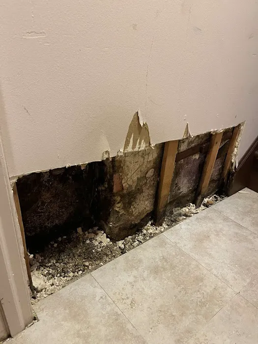 Mold & Water Damage Certified Inspector Picture 8