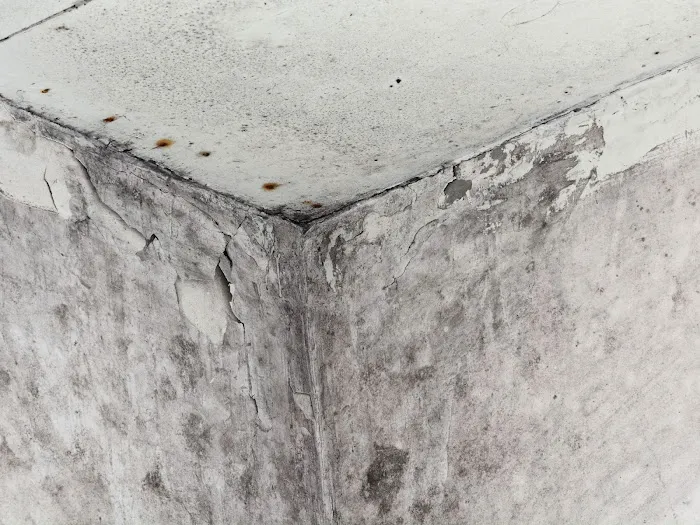 Complete Remediation Services of North Lauderdale Picture 4