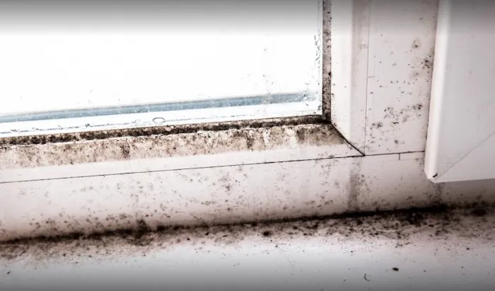 Complete Remediation Services of North Lauderdale Picture 8