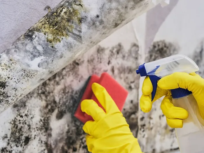 Complete Remediation Services of North Lauderdale Picture 9