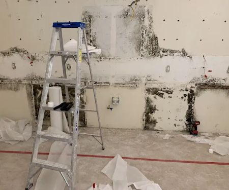 Rapid Recovery Team, LLC.