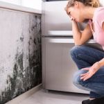 Vortex Water Damage Repair N. Lauderdale