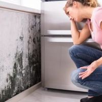 Vortex Water Damage Repair N. Lauderdale ico