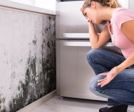 Vortex Water Damage Repair N. Lauderdale