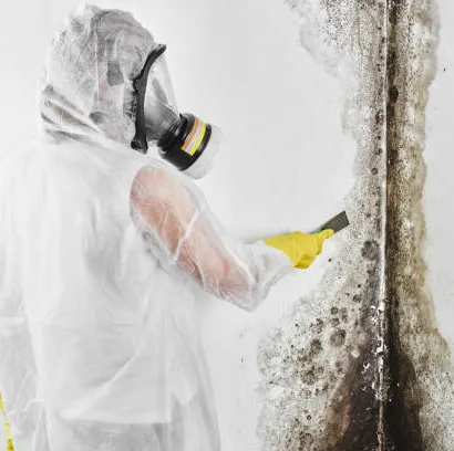 Vortex Water Damage Repair N. Lauderdale Picture 10