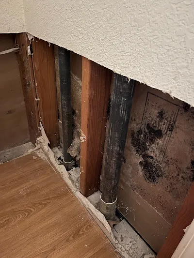 Virtuoso Water Damage Restoration Fort Lauderdale FL Picture 1