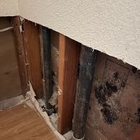 Virtuoso Water Damage Restoration Fort Lauderdale FL ico