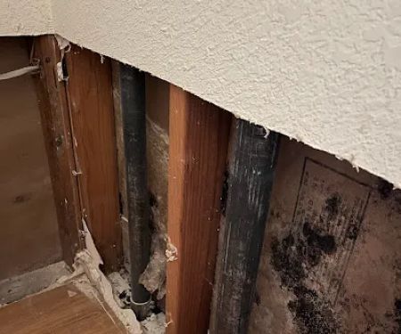 Virtuoso Water Damage Restoration Fort Lauderdale FL