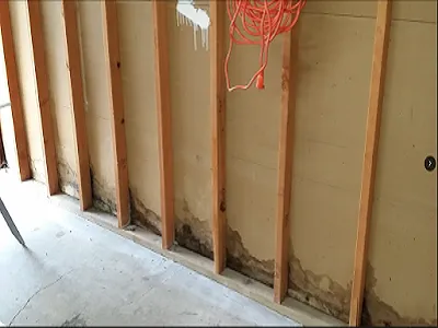 Virtuoso Water Damage Restoration Fort Lauderdale FL Picture 2