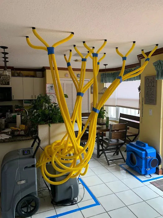 All Restoration Services Picture 3