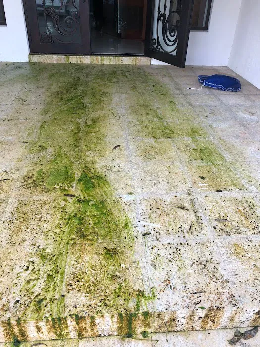 Paul Davis Restoration of Broward County & North Miami Picture 10