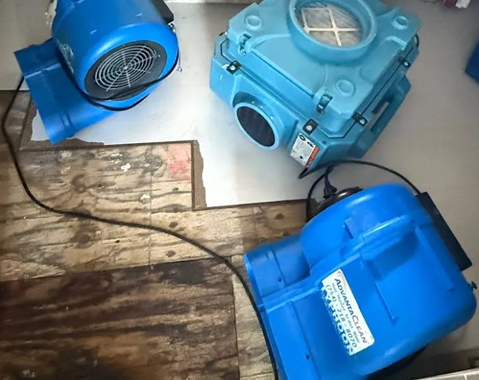 AdvantaClean of Fort Lauderdale Picture 2