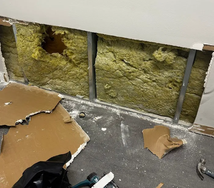 AdvantaClean of Fort Lauderdale Picture 4